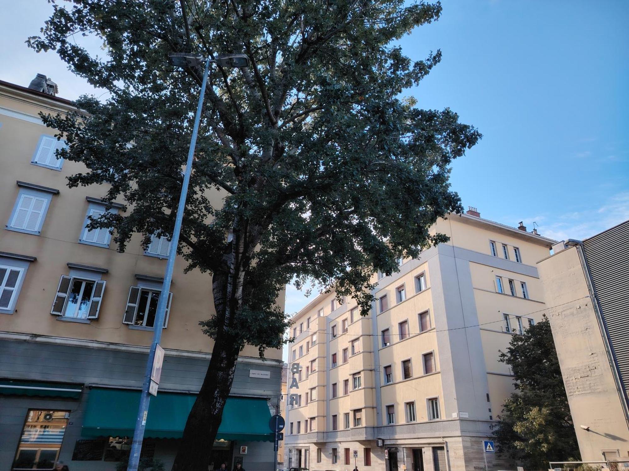 Fabio Haus Trieste Exterior photo